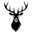 logo of nutcare
 – nutcare USA